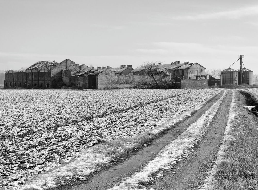 Documento senza titolo